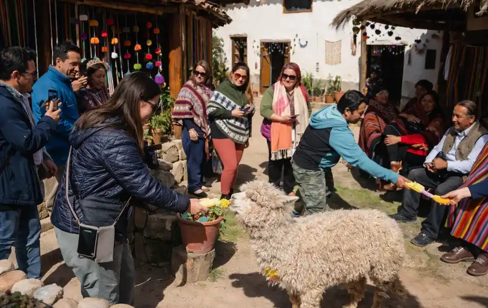 Tourists interacting and feeding alpacas at a traditional Andean community in Cusco | Inca Culture Travel